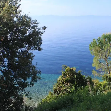 Apartment Seaside Secluded Apartments Cove Rapak, Hvar - 8767