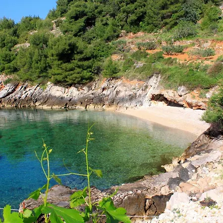Seaside Secluded Cove Rapak, Hvar - 8767 * Gdinj
