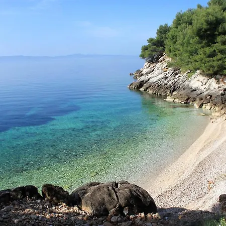 Seaside Secluded Cove Rapak, Hvar - 8767 아파트 Gdinj